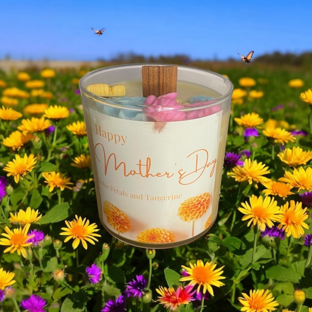 Solar Petals and Tangerine